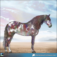 Horse Color:Nacre White Spotted Chocolate Black Chinchilla Rabicano 