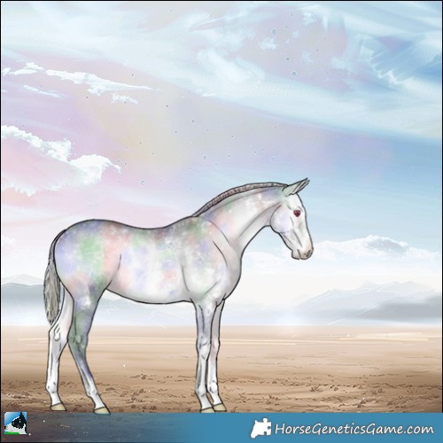 Horse Color:Nacre Silver Brown Chinchilla Onyx Sabino Rabicano 