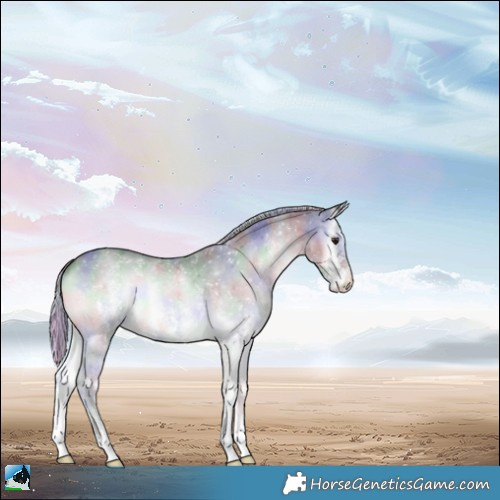 Horse Color:Nacre Silver Blue Onyx Chinchilla Sabino 
