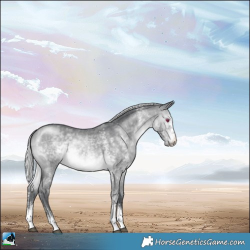 Horse Color:Silver Brown Chinchilla Sabino 