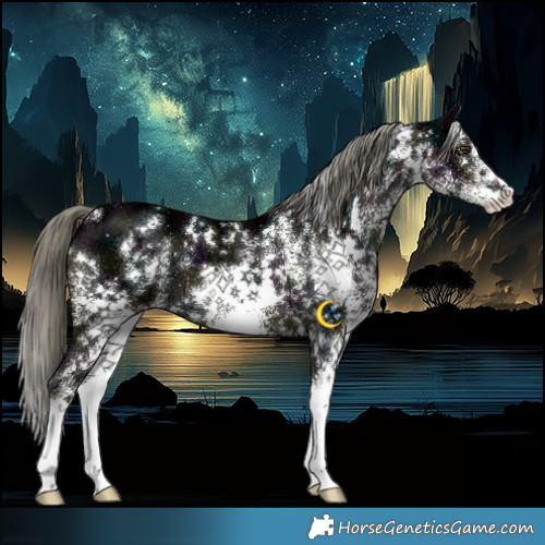 Horse Color:White Spotted Midnight Liver Chestnut Ice Mushroom
