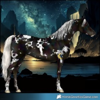 Horse Color:White Spotted Midnight Liver Chestnut Mushroom 