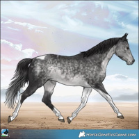 Horse Color:Platinum Buckskin Tobiano Rabicano 