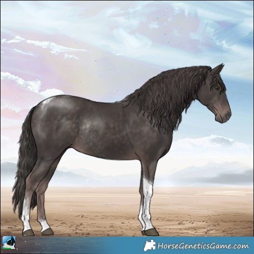 Horse Color:Platinum Liver Chestnut Tobiano Rabicano 
