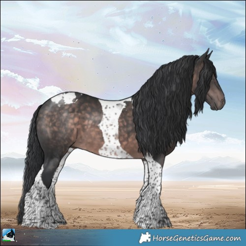 Horse Color:Platinum Brown Tobiano
