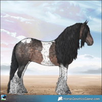 Horse Color:Platinum Brown Tobiano 