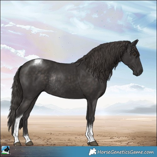 Horse Color:Platinum Liver Chestnut Tobiano Rabicano 
