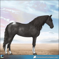 Horse Color:Platinum Liver Chestnut Tobiano Rabicano 