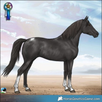 Horse Color:Platinum Liver Chestnut Tobiano Rabicano