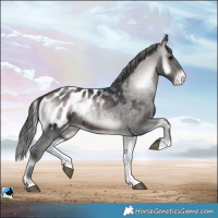 Horse Color:Platinum Brown Onyx Appaloosa Rabicano