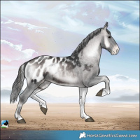 Horse Color:Platinum Brown Onyx Blanket Rabicano 