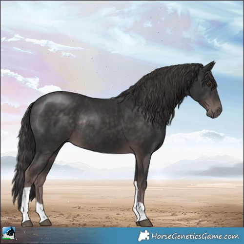 Horse Color:Platinum Liver Chestnut Tobiano Rabicano