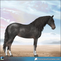 Horse Color:Platinum Liver Chestnut Tobiano Rabicano 