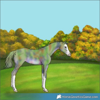 Horse Color:Nacre Watercolor Liver Chestnut Splash 