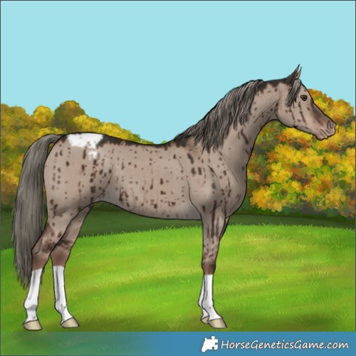 Horse Color:Liver Red Dun Mushroom Varnish Brindle 