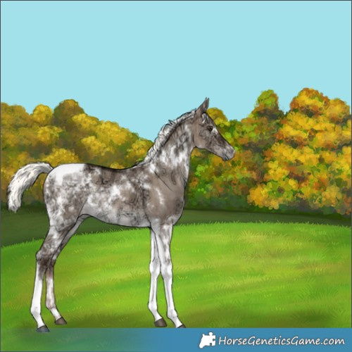 Horse Color:White Spotted Liver Red Dun Ice Mushroom Tobiano Rabicano Brindle 