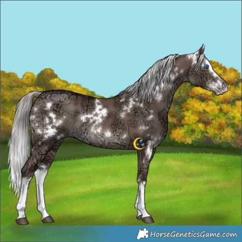 Horse Color:White Spotted Liver Red Dun Ice Mushroom Splash