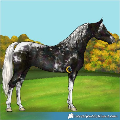 Horse Color:White Spotted Midnight Liver Red Dun Ice Mushroom Tobiano Rabicano Brindle 