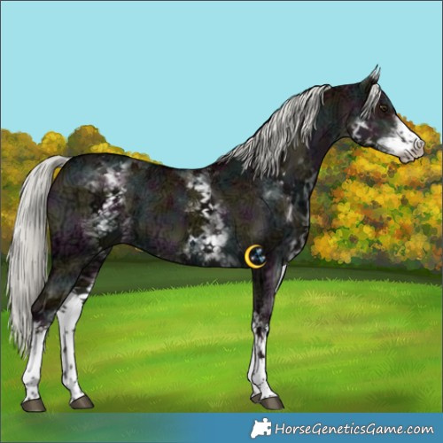 Horse Color:White Spotted Midnight Liver Red Dun Ice Mushroom 