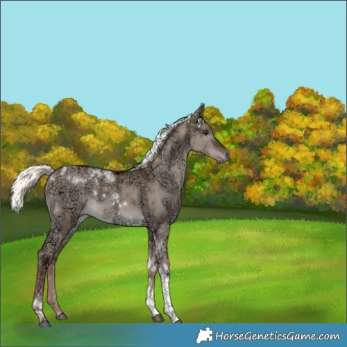Horse Color:Liver Red Dun Ice Mushroom Tobiano Brindle 