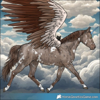 Horse Color:White Spotted Liver Red Dun Ice Brindle