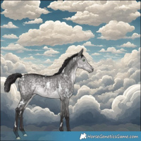 Horse Color:Platinum White Spotted Buckskin Dun 