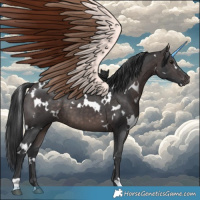 Horse Color:Platinum White Spotted Brown 