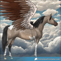 Horse Color:Brown Dun Tobiano Brindle