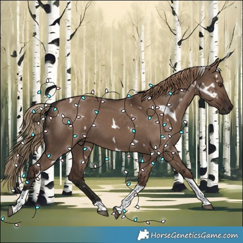 Horse Color:White Spotted Liver Red Dun Tobiano 
