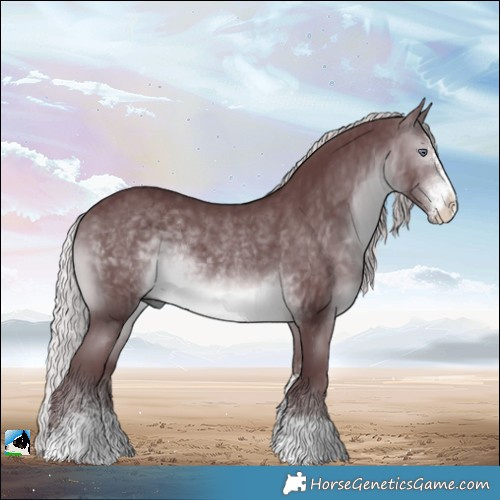 Horse Color:Chocolate Silver Brown Chinchilla Sabino Rabicano 