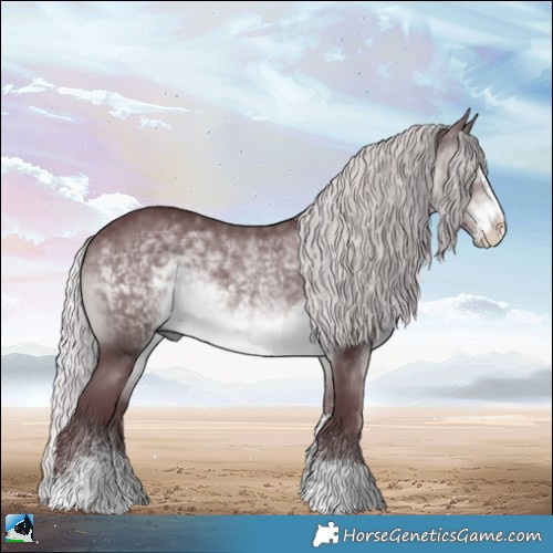 Horse Color:Chocolate Silver Brown Chinchilla Sabino Rabicano 
