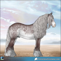 Horse Color:Chocolate Silver Brown Chinchilla Sabino Rabicano 