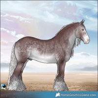 Horse Color:Chocolate Silver Brown Chinchilla Sabino Rabicano 
