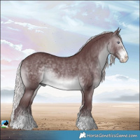 Horse Color:Chocolate Silver Brown Chinchilla Sabino Rabicano