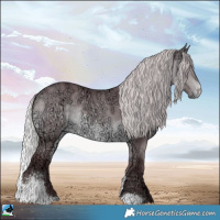 Horse Color:Chocolate Silver Bay Chinchilla Ice Sabino Rabicano