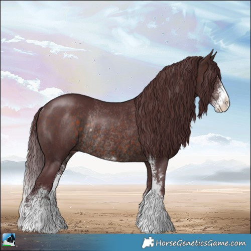Horse Color:Chocolate Brown Sabino Rabicano