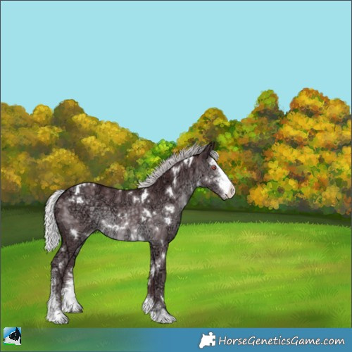 Horse Color:White Spotted Chocolate Silver Black Chinchilla Ice Sabino 