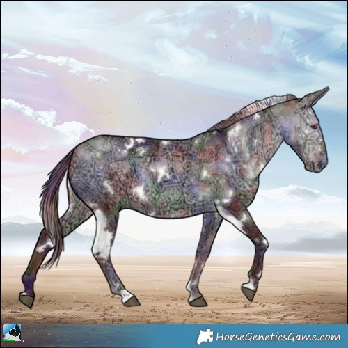 Horse Color:Nacre White Spotted Chocolate Brown Chinchilla Ice Rabicano 
