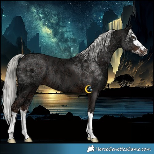 Horse Color:Liver Chestnut Ice Mushroom Splash Rabicano 