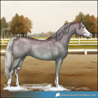 Horse Color:Chocolate Silver Grullo Chinchilla