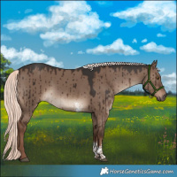 Horse Color:Liver Red Dun Mushroom Sabino Brindle 