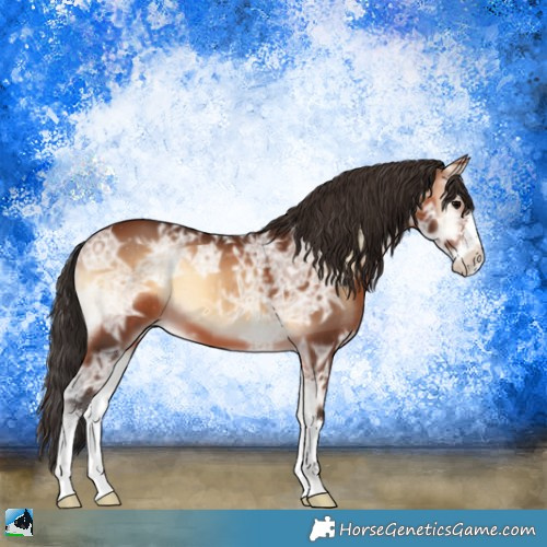 Horse Color:Bay Ice Onyx Sabino 