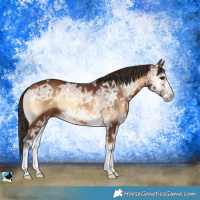 Horse Color:Bay Ice Onyx Sabino 