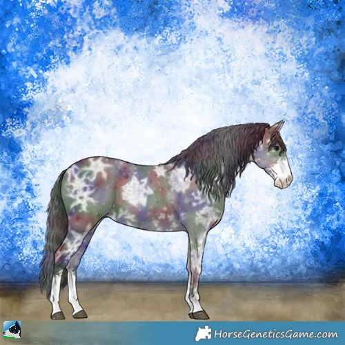 Horse Color:Nacre Smoky Black Ice Sabino 