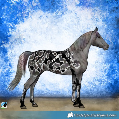 Horse Color:Nacre Midnight Liver Red Onyx Ice Tobiano Appaloosa