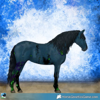 Horse Color:ERROR: UNKNOWN ANOMALY