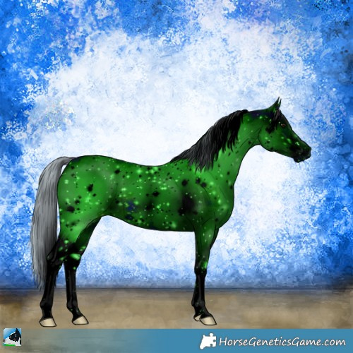 Horse Color:ERROR: UNKNOWN ANOMALY