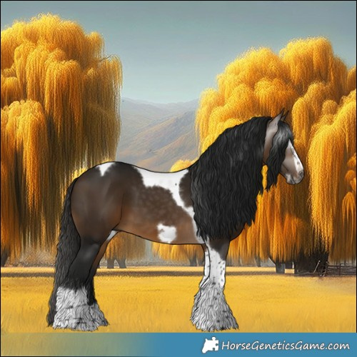 Horse Color:Gray Buckskin Tobiano Frame 