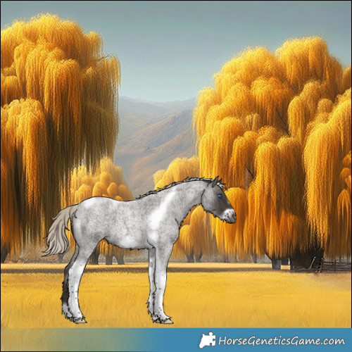 Horse Color:Gray Silver Smoky Blue Roan Tobiano Frame 