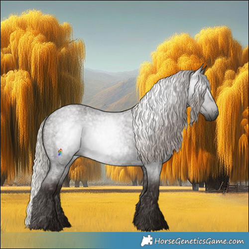 Horse Color:Gray Silver Blue Roan 